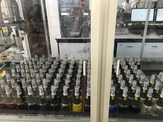 Sustainable textile dyeing process with certified non-toxic colors